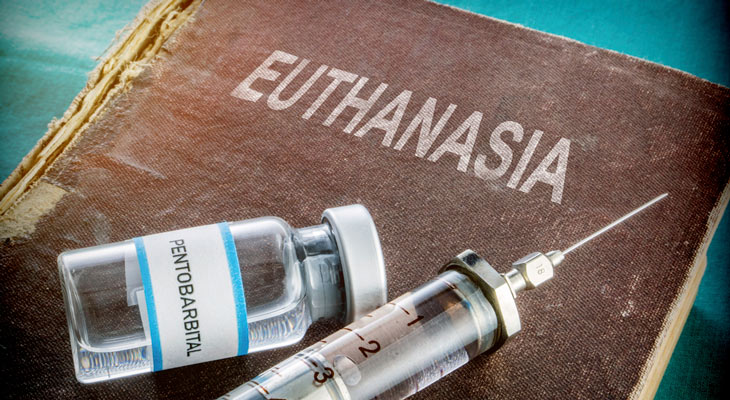 eutanásia eutanásia